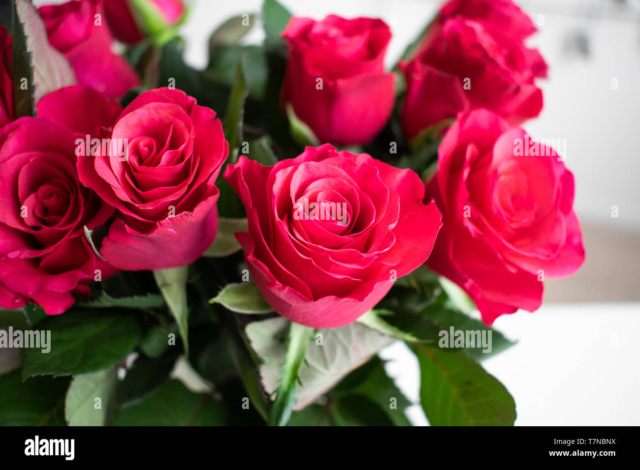 Rote Rosen Bouquet mit einer rosa berühren. Innen mit weißem Hintergrund. Stockfoto