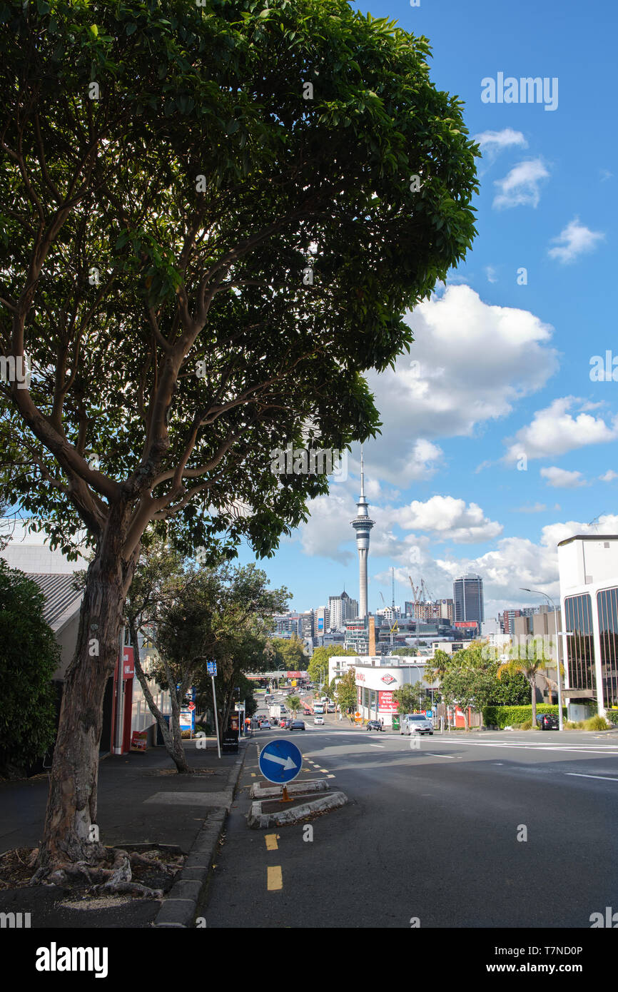 Sonnigen Tag in Auckland. Blick von Collage Hügel mit Sky Tower im Hintergrund. Stockfoto