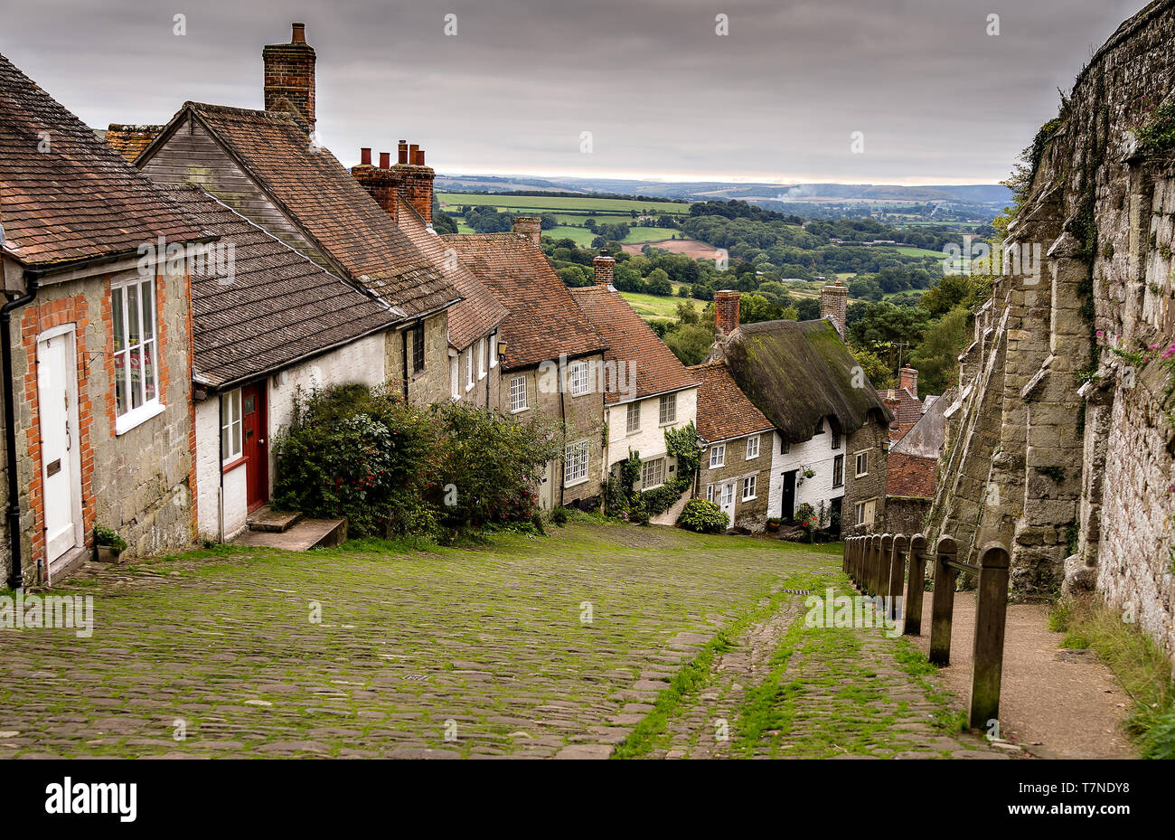Gold Hill Shaftesbury Dorset, wo Hovis Brot Werbespot gedreht wurde Stockfoto