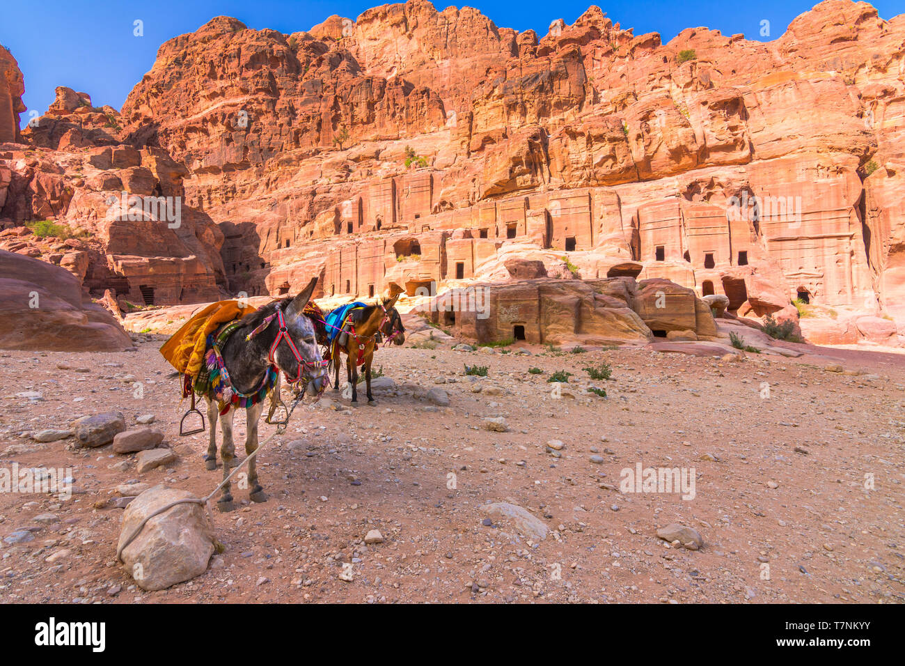 Höhlen in den Sandsteinen, Säulen und Ruinen der alten Beduinen Stadt Petra, Jordanien Stockfoto