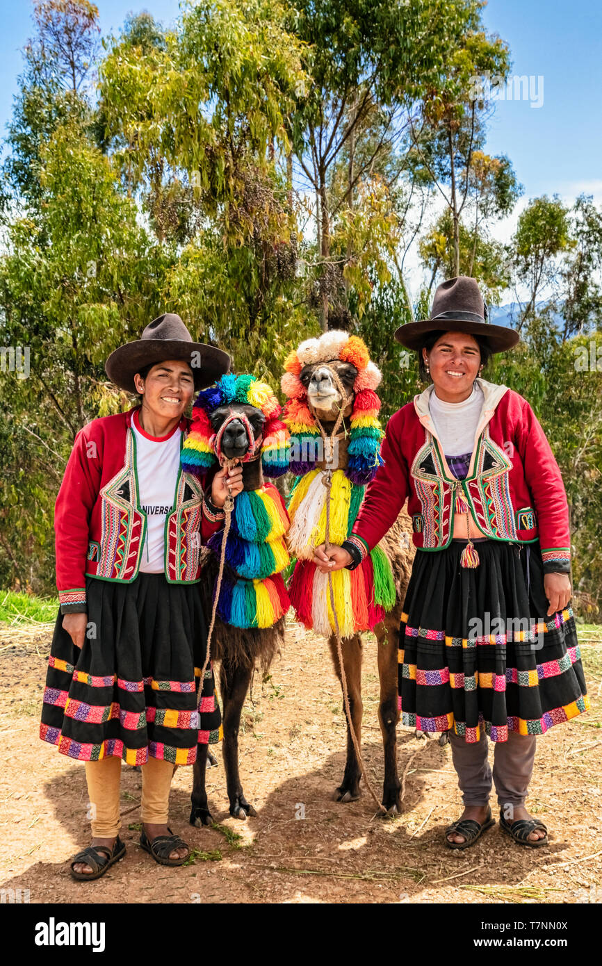 Chinchero, Peru - April 4, 2019: In Chinchero, Peru zwei lokale Frau in traditioneller Kleidung Stellen um das Bild mit Alpakas. Stockfoto