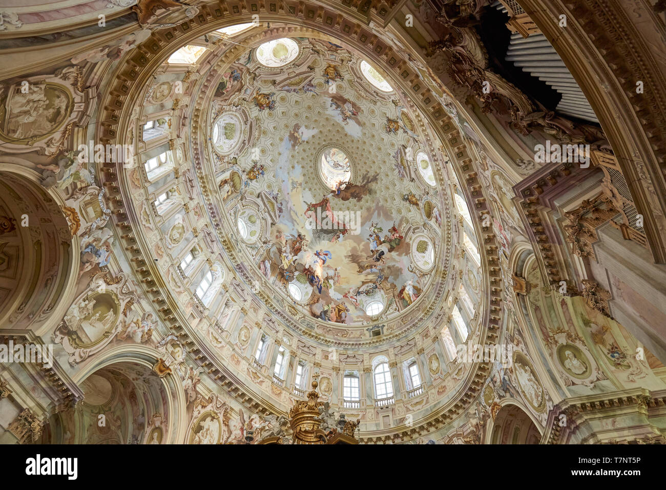 Vicoforte, Italien, 17. August 2016: Wallfahrtskirche von Vicoforte elliptische barocken Kuppel mit Fresken und Orgel, Low Angle View in Piemont, Italien Stockfoto