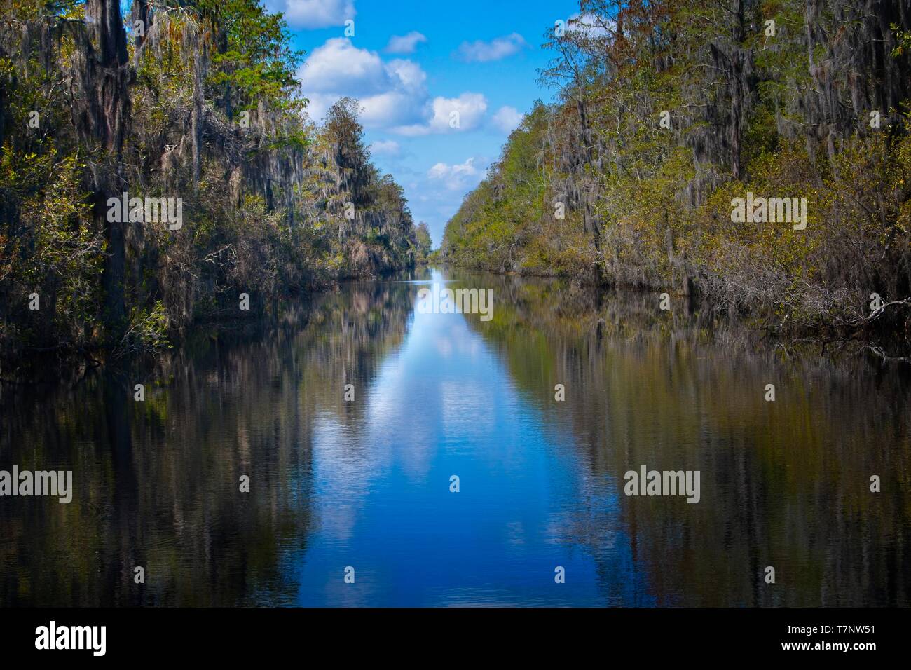 Kanalfahrt in den Sumpf Stockfoto