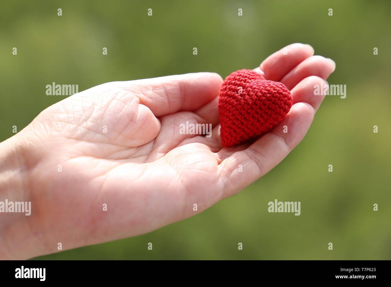 Rot gestrickt Herz auf weibliche palm Hand auf unscharfen Natur Hintergrund. Konzept von Liebe, Romantik, Gesundheitswesen, Mutterschaft, Blutspende Stockfoto