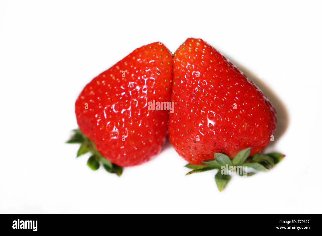 Zwei Erdbeeren schließen bis auf weißem Hintergrund. Rote reife Erdbeere Stockfoto
