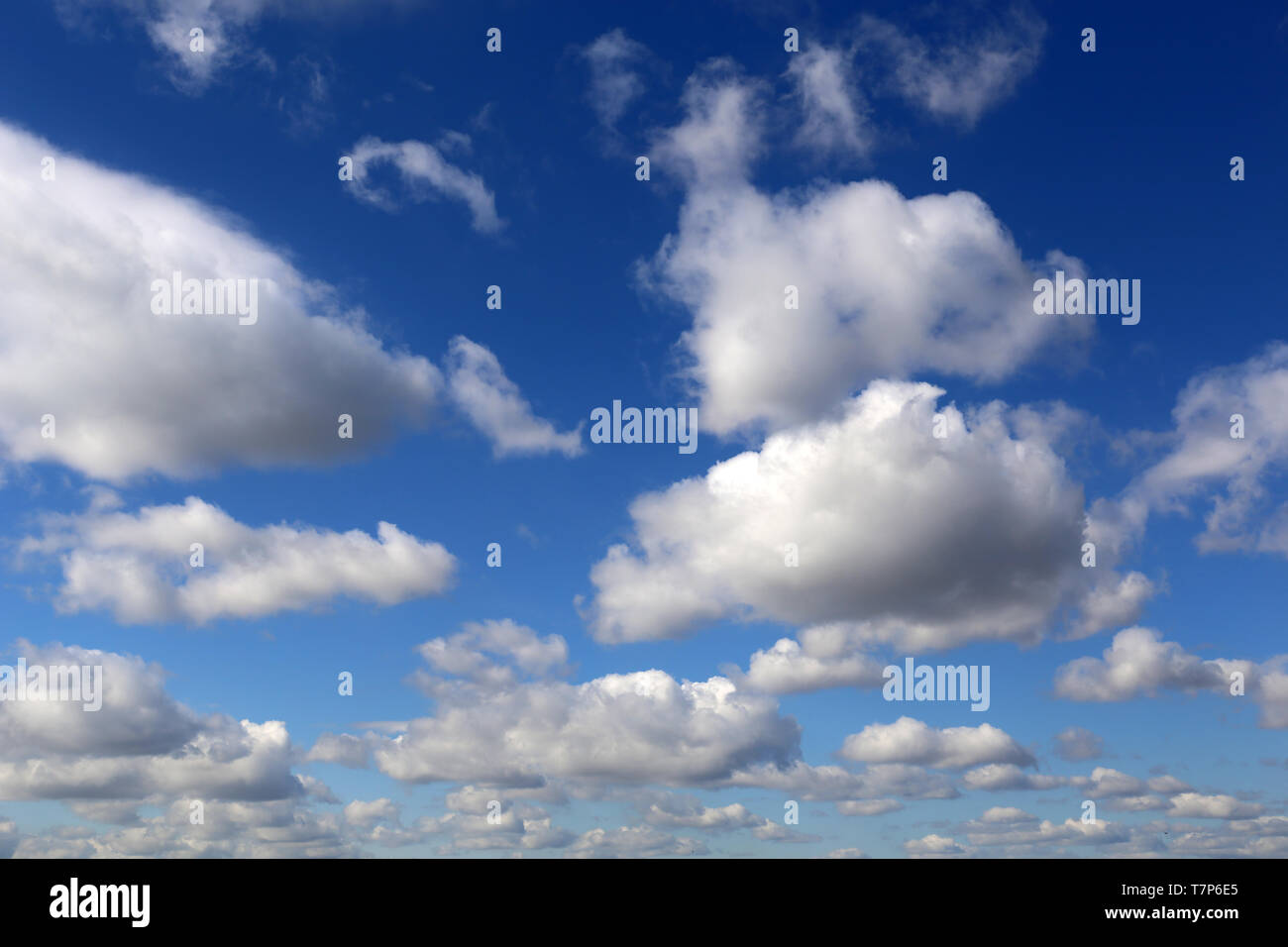 Blauer Himmel mit weißen cumulus Wolken bedeckt. Feder cloudscape, schönen Hintergrund für guten, sonnigen Wetter Stockfoto