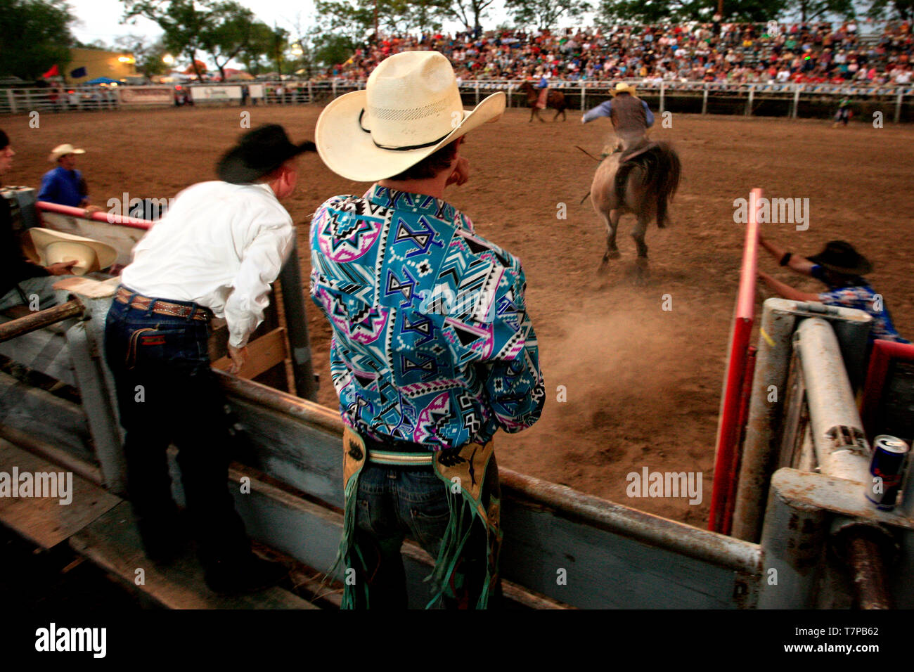 Rodeo Show im Uvalde County Fairplex Stockfoto