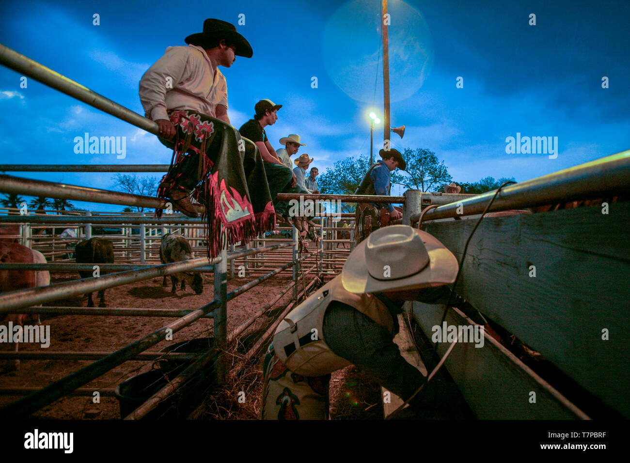 Rodeo Show im Uvalde County Fairplex Stockfoto