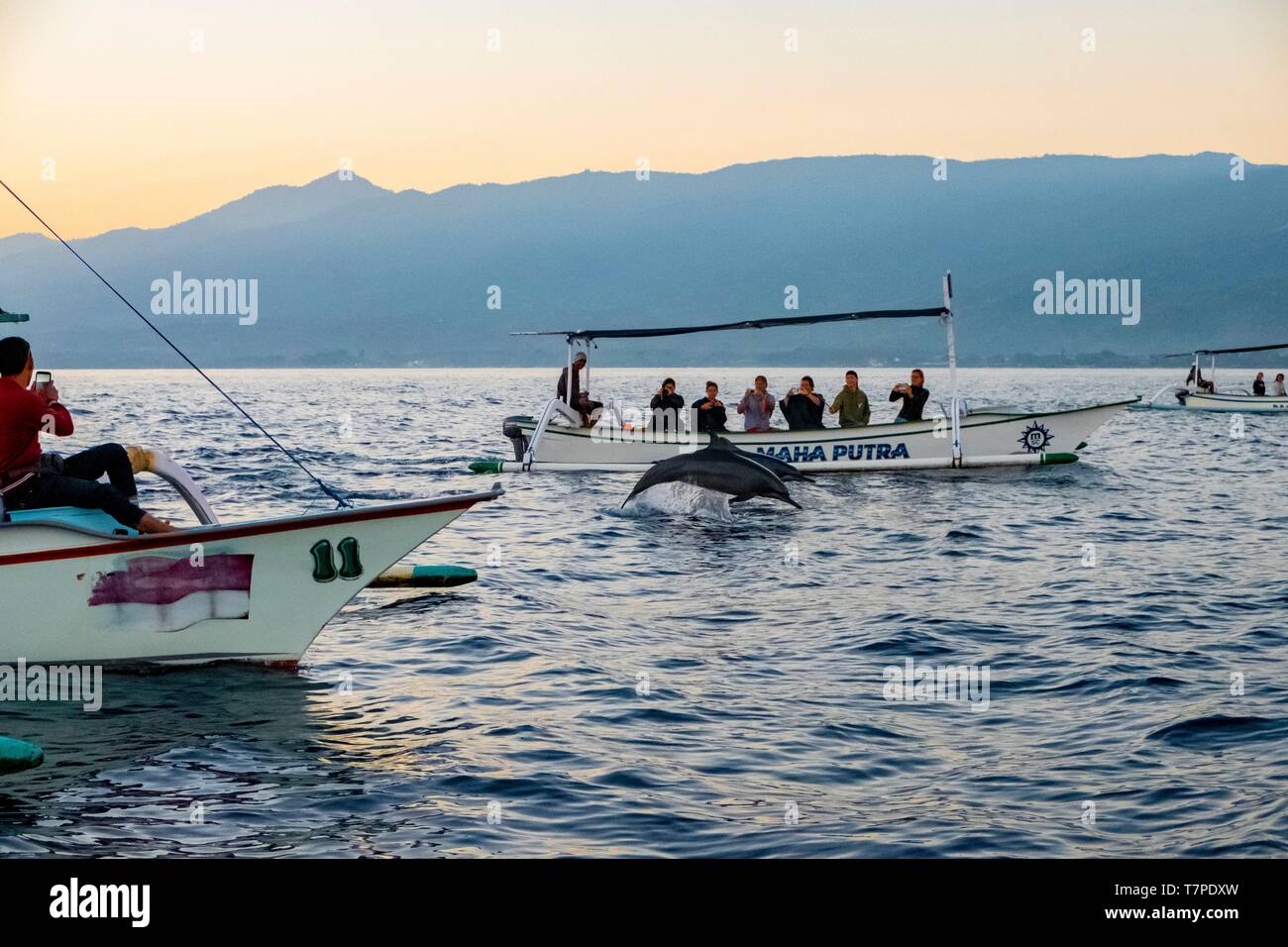 Indonesien, Bali, Norden, Lovina, Bootsfahrt in der Morgendämmerung zu Delphine beobachten Stockfoto