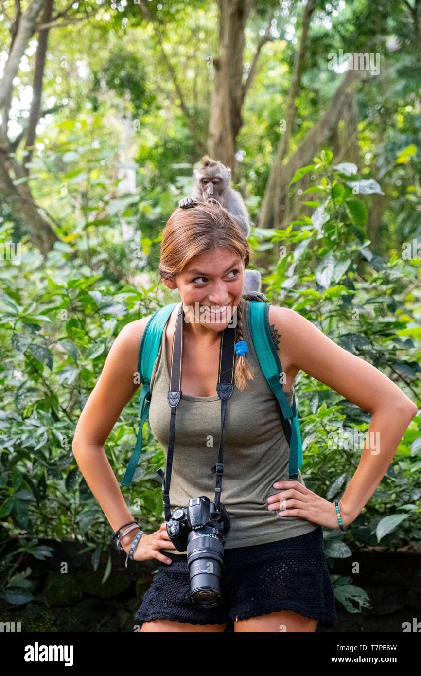 Indonesien, Bali, Ubud, Affenwald (Monkey Forest) Stockfoto