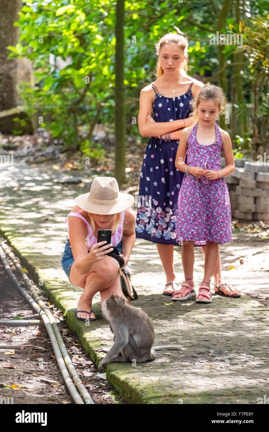 Indonesien, Bali, Ubud, Affenwald (Monkey Forest) Stockfoto