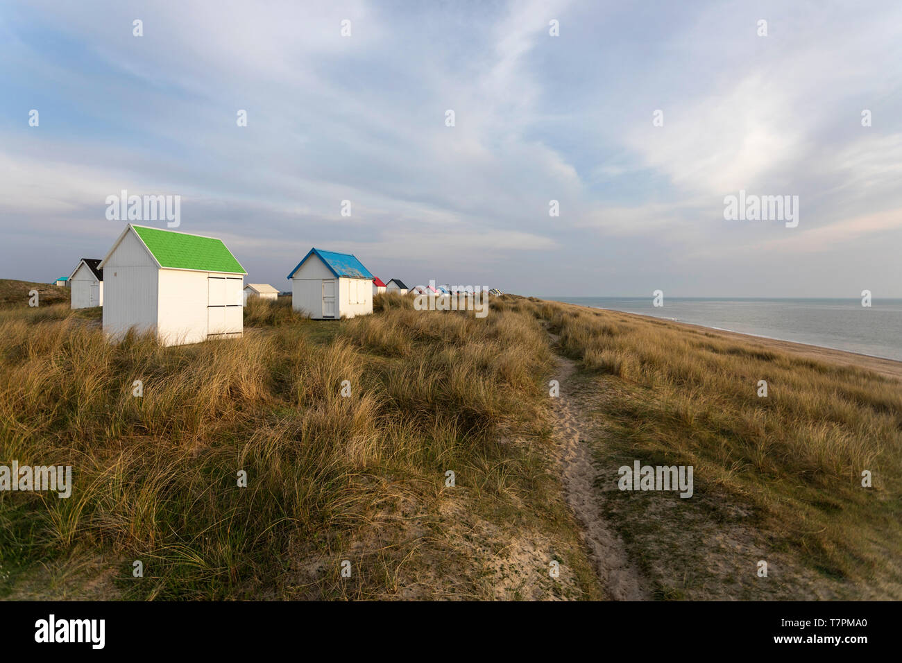 Pfad auf eine Reihe von Strandhütten mit bunten Dächern auf einem Gras bedeckte Dünen und schönen Blick über den Atlantik, Gouville-sur-Mer, Normandie, Frankreich Stockfoto