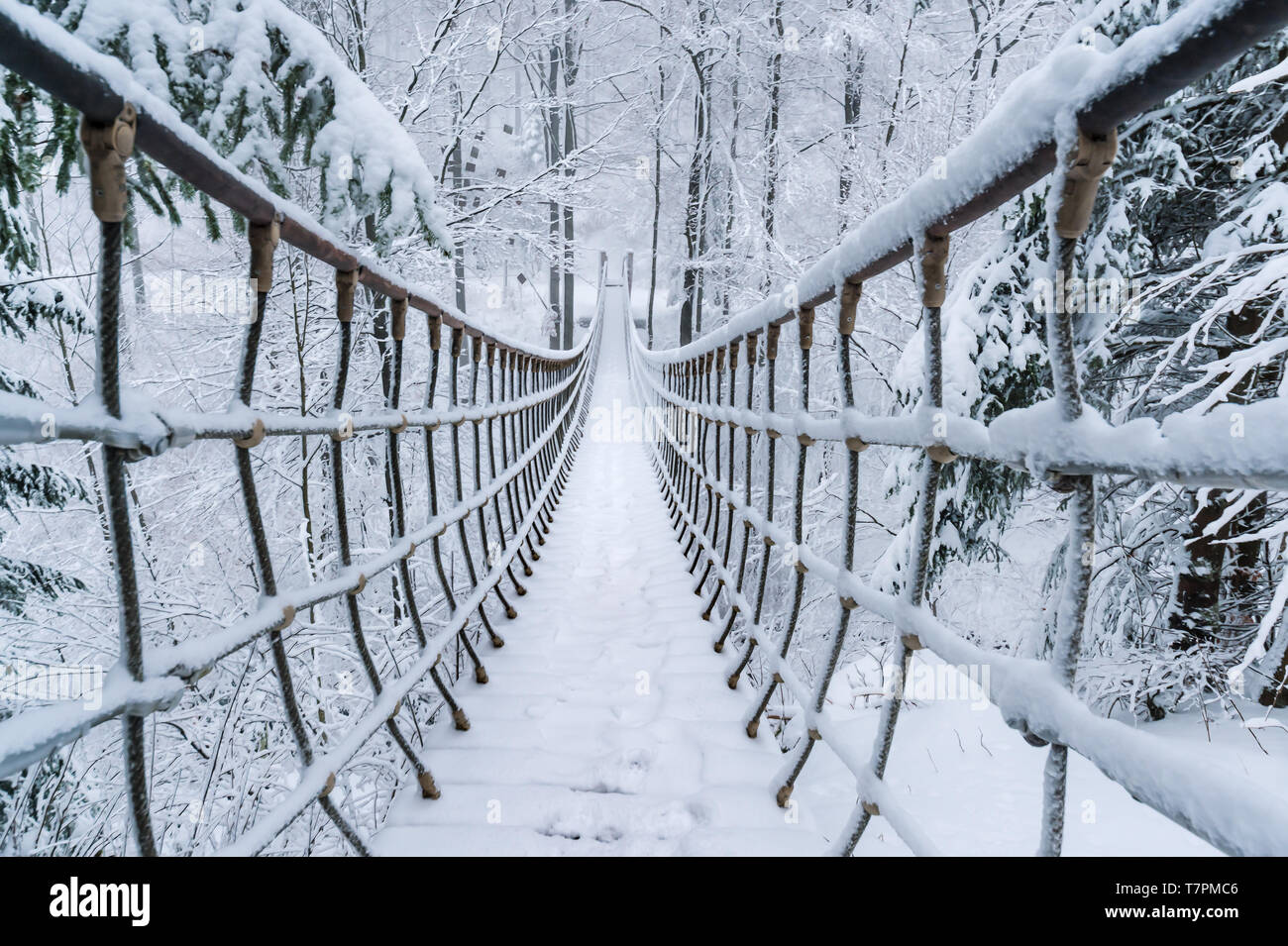 Im verschneiten Winterwald hängt eine Seilbrücke. Verschneite Tannen säumen den Weg. Brücke von den Rothaarsteig im Sauerland, Deutschland. Stockfoto
