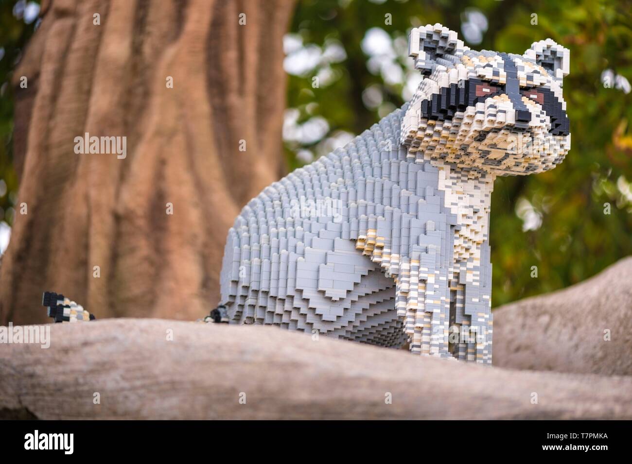 Dänemark, jütland, Billund, Legoland® Billund ist der erste Legoland Park gegründet im Jahr 1968, in der Nähe der Hauptsitze der Lego® (der Begriff Lego aus der dänischen Leg godt Sinne gut spielt) abgeleitet wird, ist es, bestehend aus den folgenden Bereichen: Miniland, Legoredo Town, Fantasy Zone, Knights Kingdom, DUPLO Land, Pirate Land, LEGO City, Insel Dino, Fun Town, LEGO X-Treme, Adventure Land, Verkehr, Reich der Pharaonen, Land der Wikinger, hier eine lebensgroße Waschbär Skulptur Stockfoto