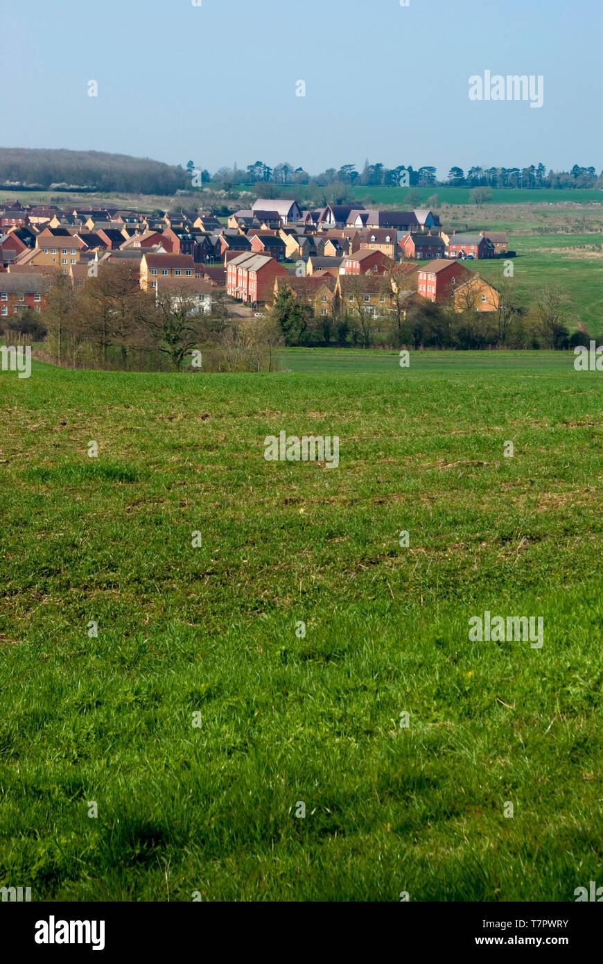 Gehäuse auf der grünen Wiese Stockfoto