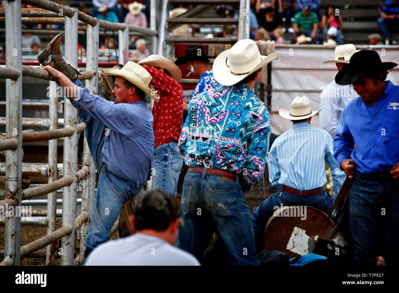 Rodeo Show im Uvalde County Fairplex Stockfoto