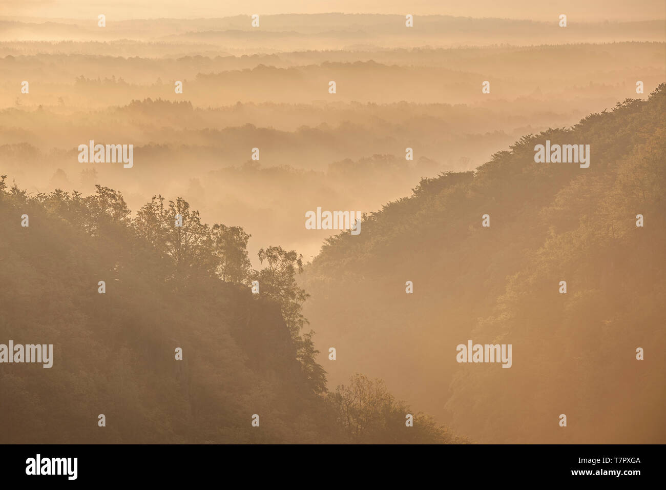 Sunrise und schöne Landschaft Blick über die Schlucht und das Tal von Soderasen Kopparhatten, Nationalpark, Skane, Schweden. Stockfoto