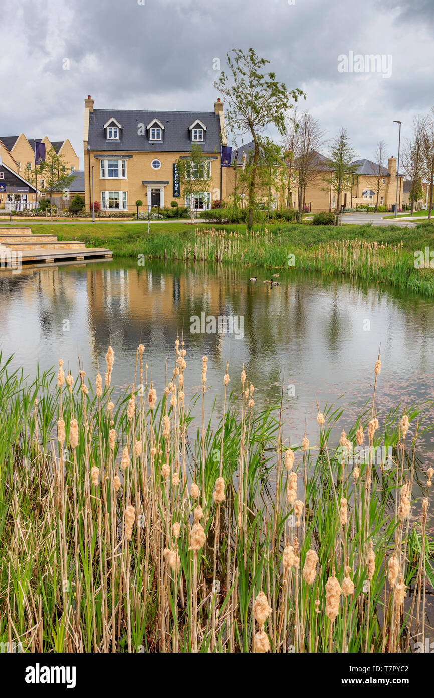 Alconbury Weald Mann See, wichtige neue Gehäuse Entwicklung, in der Nähe von Huntingdon, Cambridgeshire, England, UK, GB Stockfoto