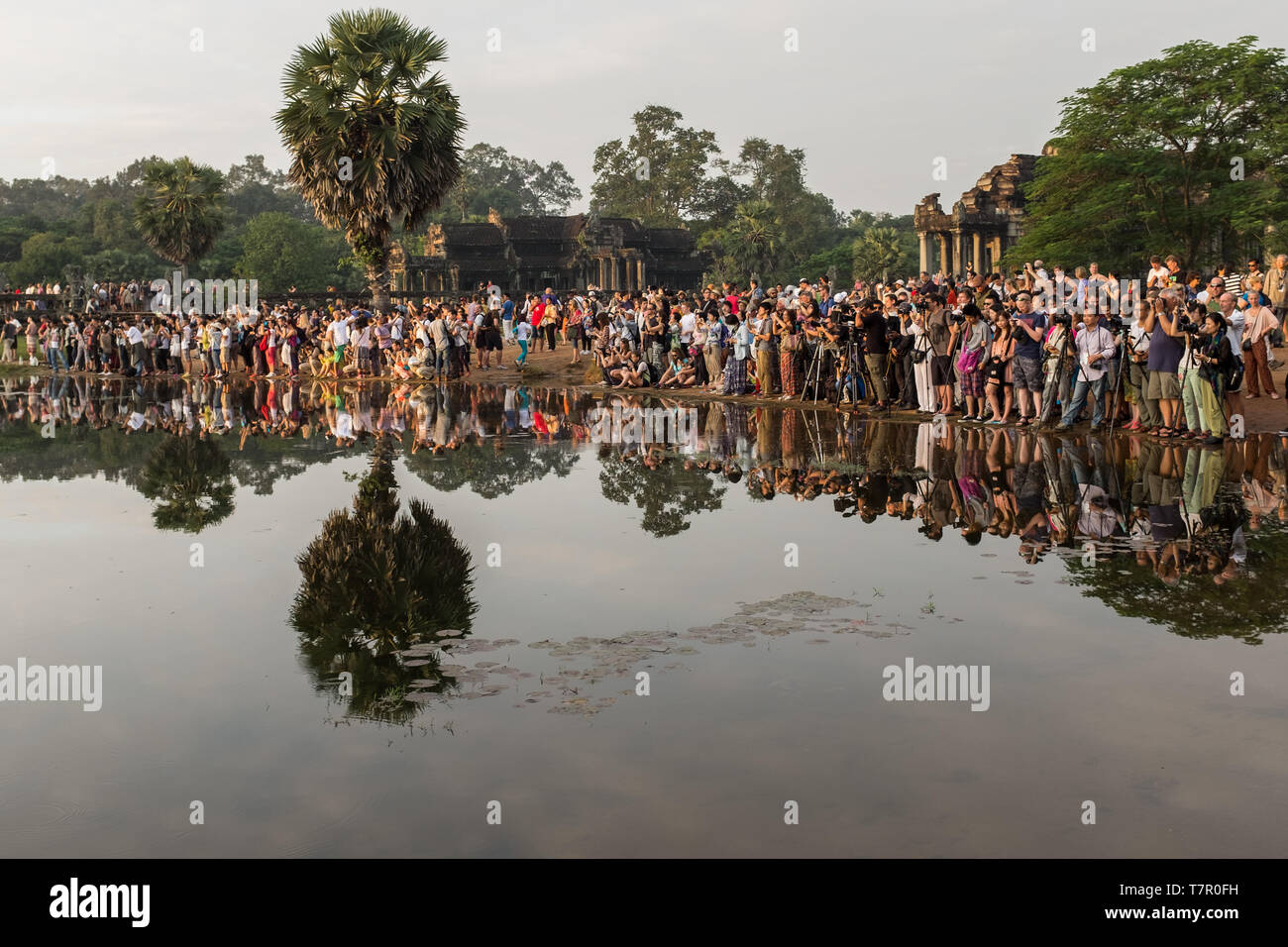 Angkor Wat, Siem Reap, Kambodscha, November 4, 2014: eine große Menge von Fotografen Masse um den Rand eines Sees in Angkor Wat warten, das perfekte Sonnenaufgang geschossen, ihre Reflexion in den Seen Wasser zu ergreifen Stockfoto