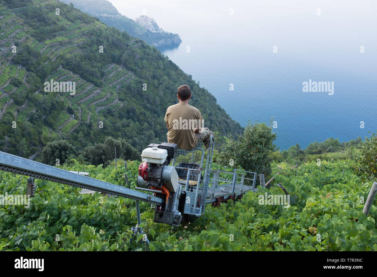 Ein Bauer reitet den steilen Monorail auf seinem Weinberg zu Ernte der Trauben auf die Küste von Amalfi, Italien Stockfoto