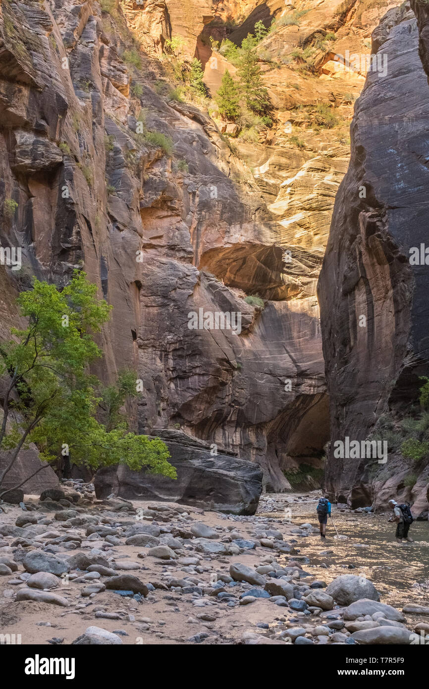 Die Virgin River Canyon, mit goldenem Licht schneiden den oberen Teil der Schlucht und zwei Wanderer über den Fluss Stockfoto