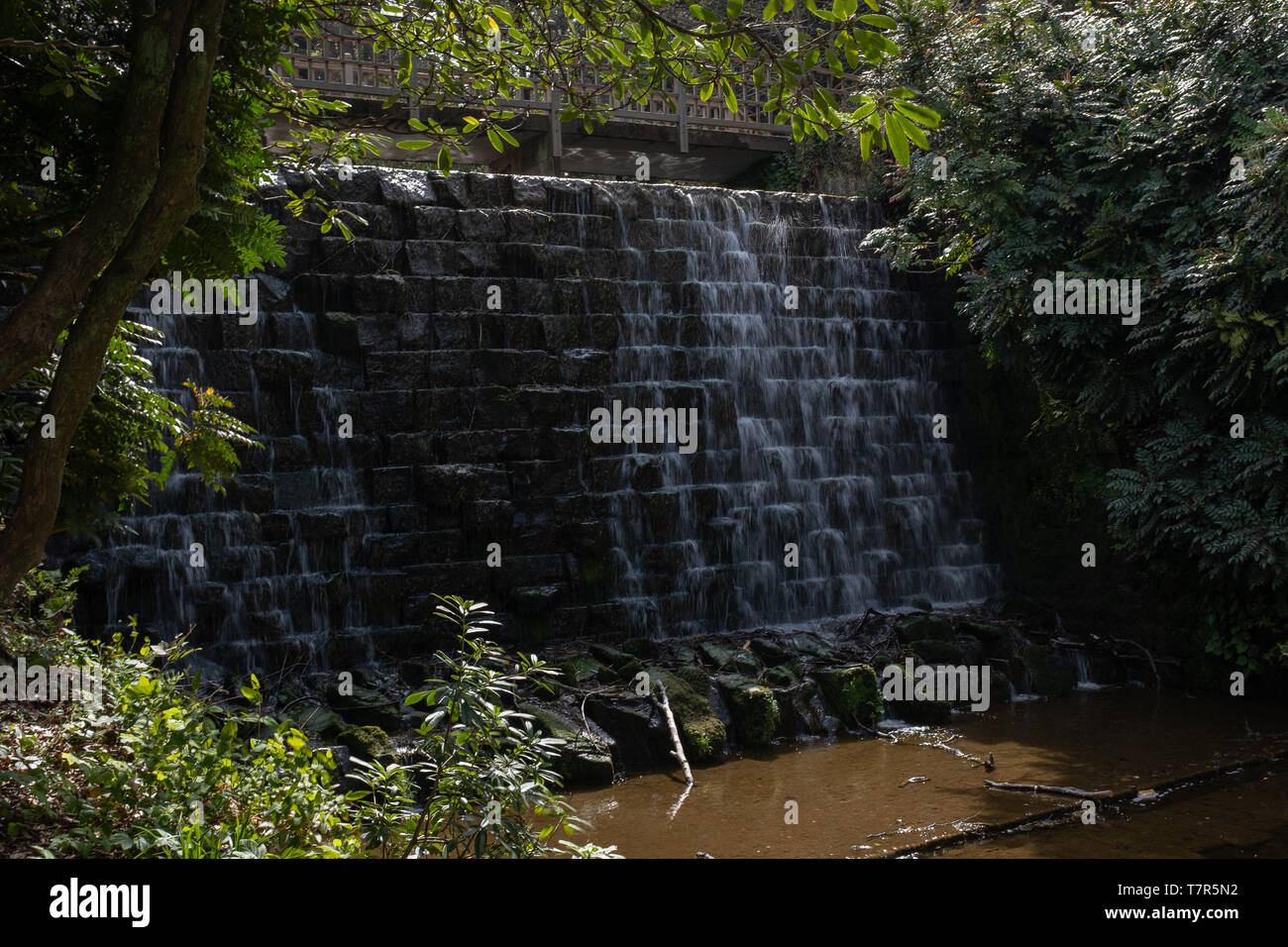 Das Harewood House, Harewood, Yorkshire, UK, April, 23, 2019: Wasser perlt in der dekorativen Wand im Himalaya Garten an das Harewood House, Leeds, Yorkshire, langsame Verschlussgeschwindigkeit Stockfoto