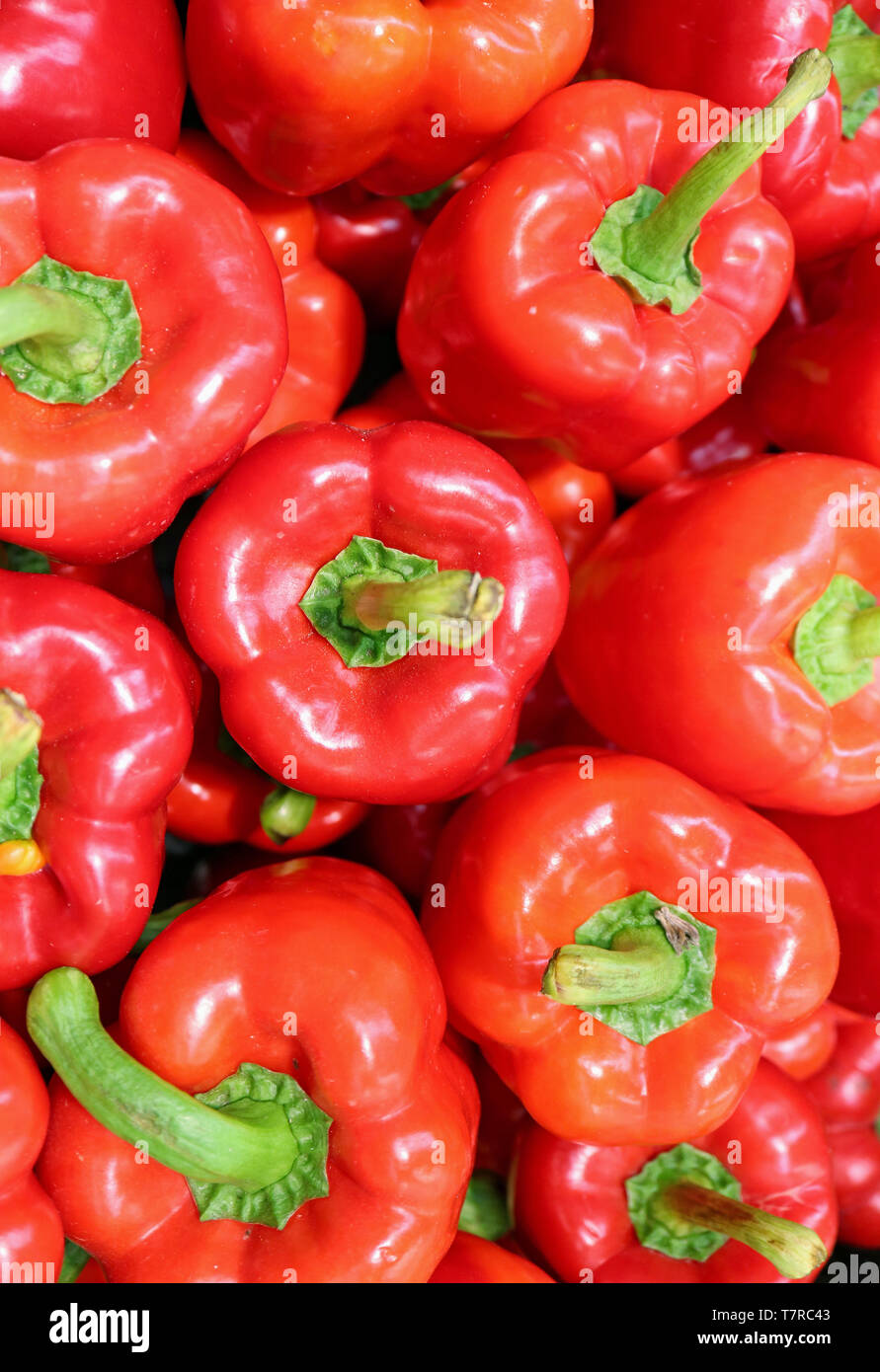 Vertikale Foto von Haufen Frische reife rote Paprika mit grünem Stiel Draufsicht Stockfoto