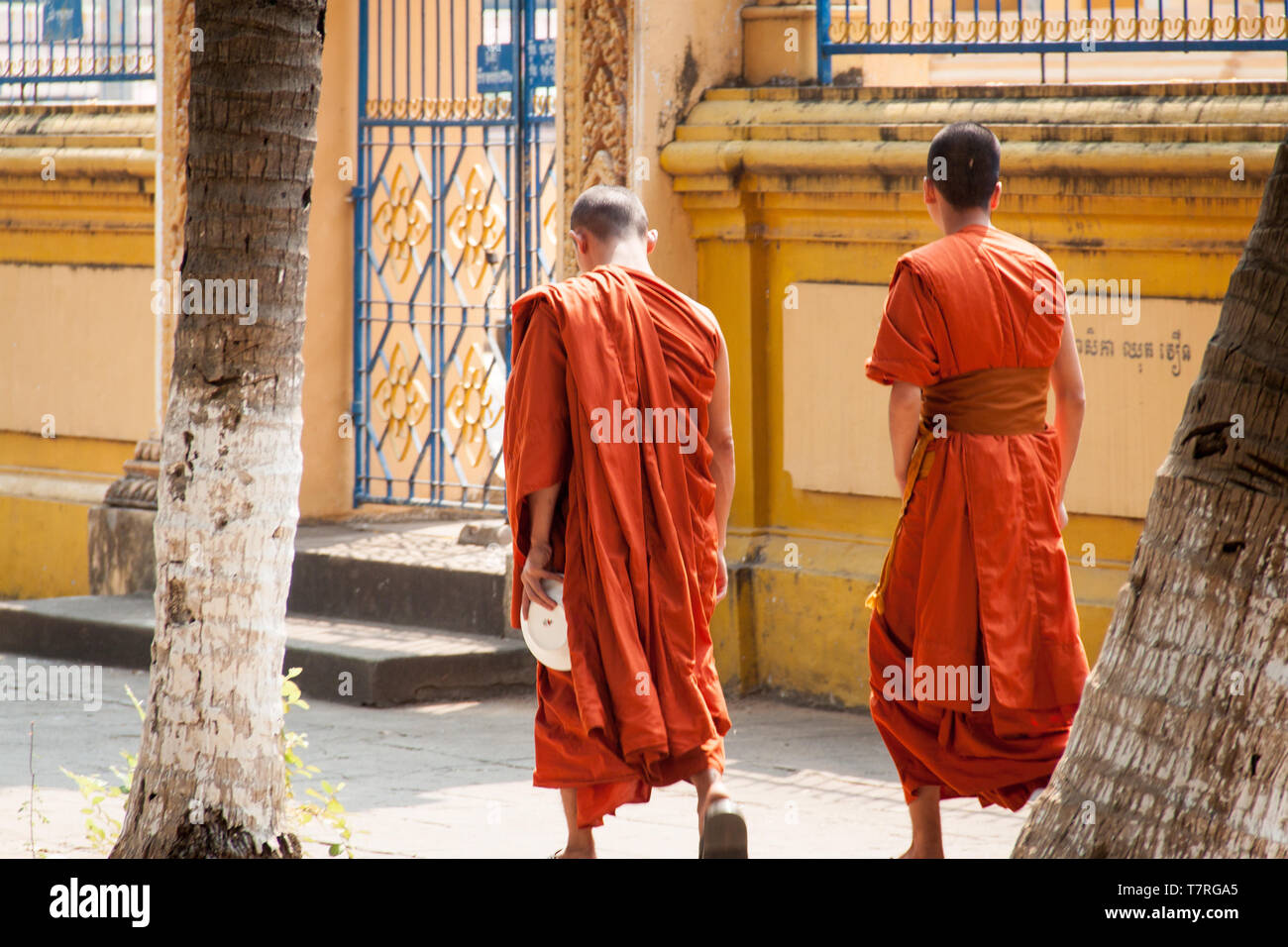 Buddhistische Mönche in orangefarbenen Robe, Kambodscha Stockfoto