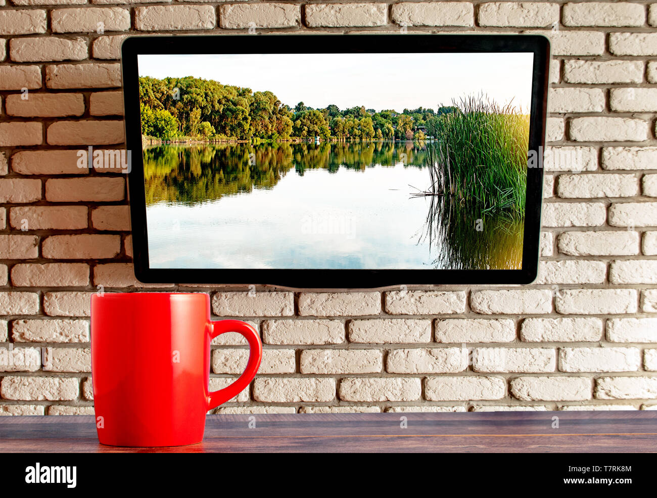 Rote Schale auf dem Tisch an der Wand, der dekorativen Backstein im Hintergrund Stockfoto