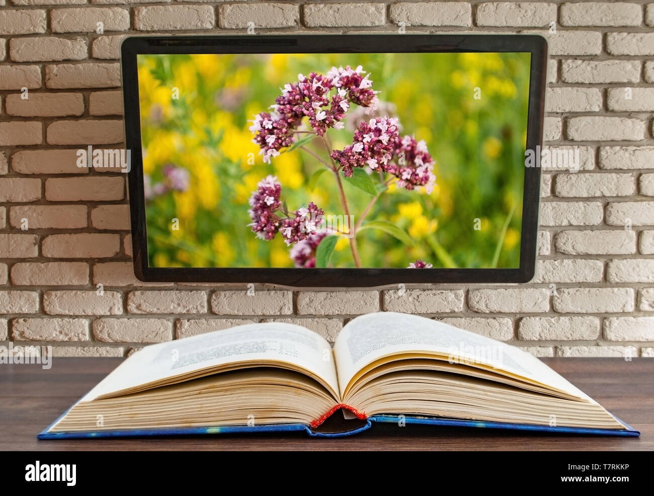 Zerrissene Buch auf dem Tisch an der Wand, der dekorativen Backstein im Hintergrund Stockfoto