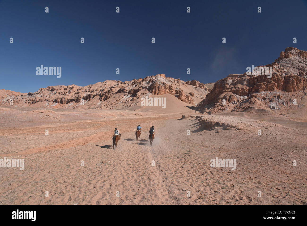 Reiten im Moon Valley, San Pedro de Atacama, Chile Stockfoto
