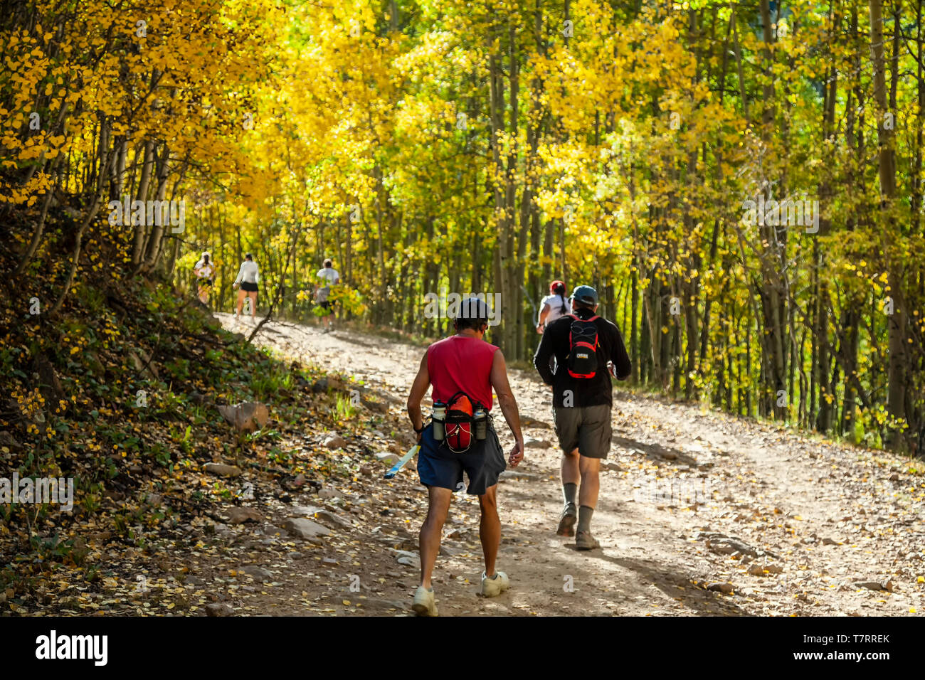 Geher auf Trail, flankiert von Espen in Herbst Farben, Aspen Vista Trail, Santa Fe, New Mexico, USA Stockfoto