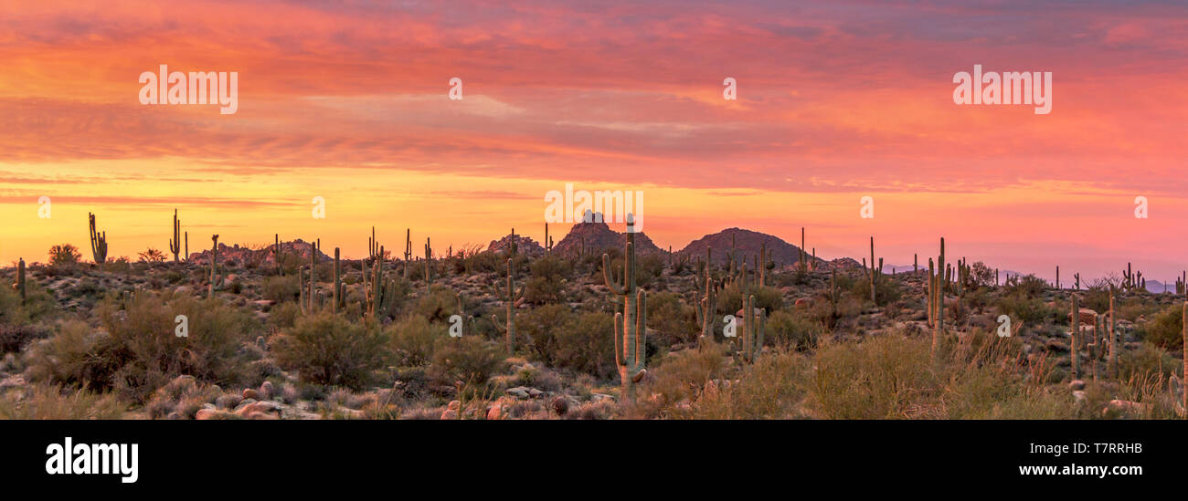 Lebendige Arizona Sonnenaufgang in der Nähe von Pinnacle Peak in Scottsdale. Stockfoto