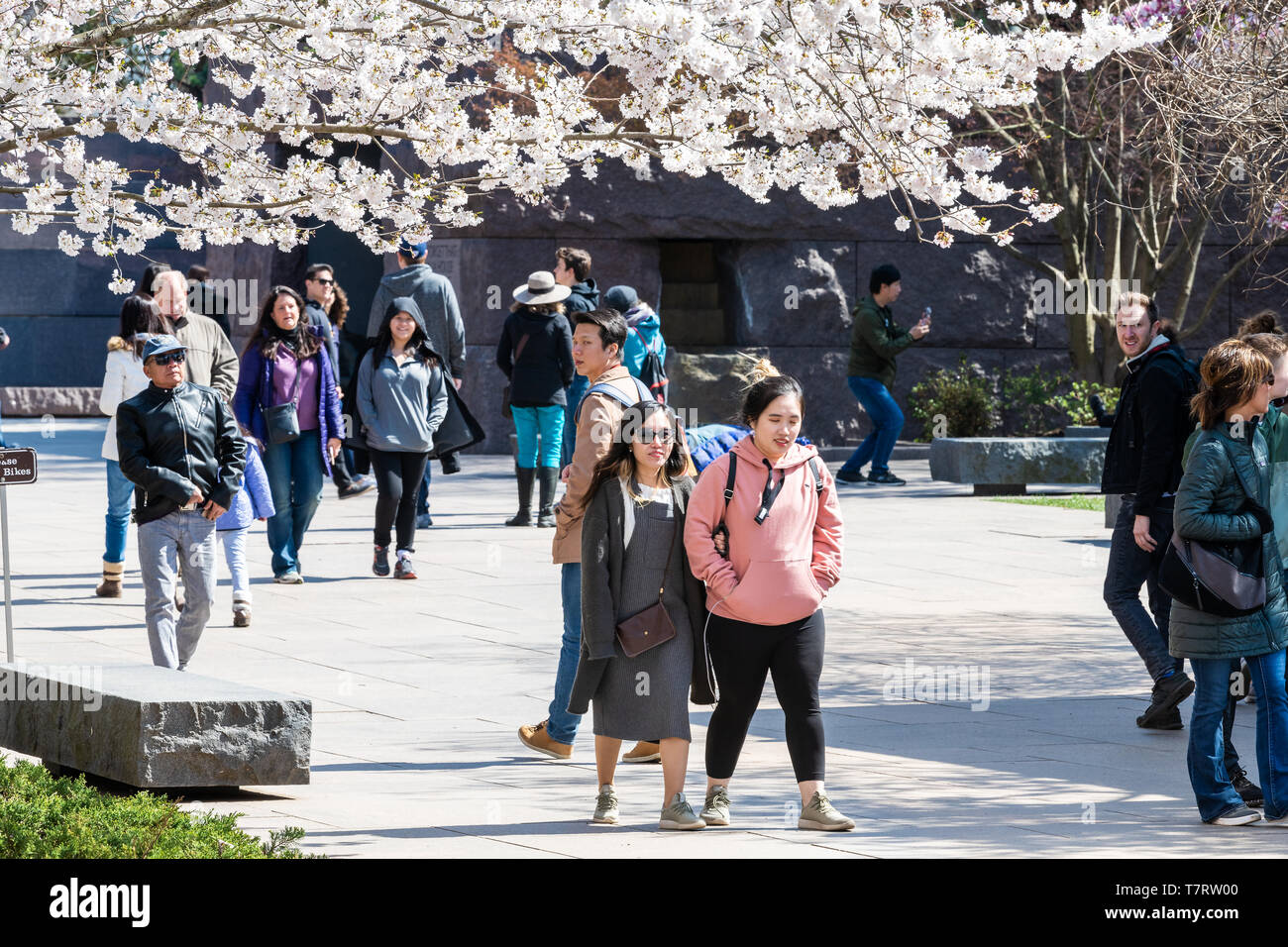 Washington DC, USA - April 5, 2018: asiatische Touristen Menschen zu Fuß durch die Masse in der Franklin Delano Roosevelt FDR Memorial und Kirschblüte Sakura-bäume I Stockfoto