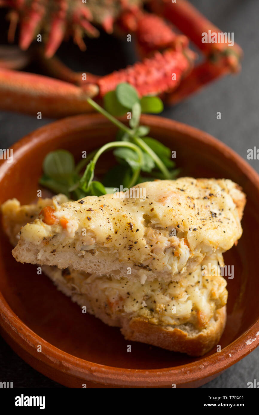 Ein hausgemachtes Gegrillte Krabben und Käse Sandwich aus Fleisch von einem gekochten Europäischen Seespinne, Maja brachydactyla, die in einer Dropdown-Liste Net niedrige gefangen wurde Stockfoto