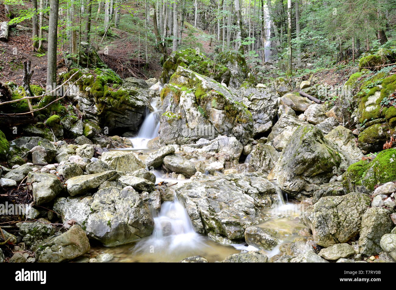 Wasserfall in der Nähe von Bad Ischl im Salzkammergut in Österreich Stockfoto