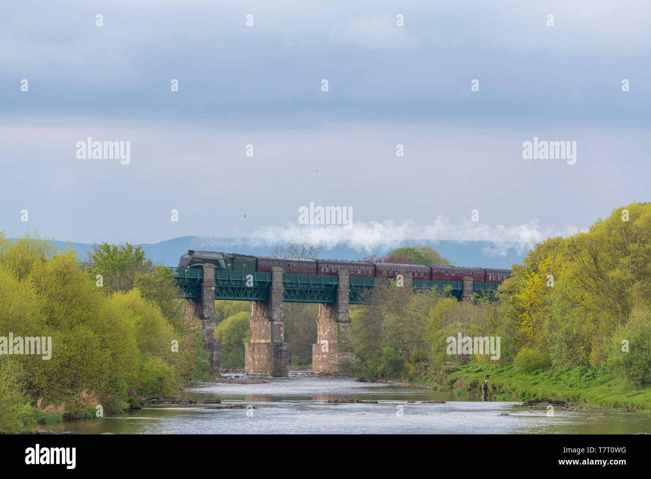 Die Aberdeen Flyer, der LNER-Klasse A4 "Union von Südafrika" geschleppt, überquert den Fluss North Esk auf der Marykirk Viadukt, wie es nach Süden zurück Stockfoto
