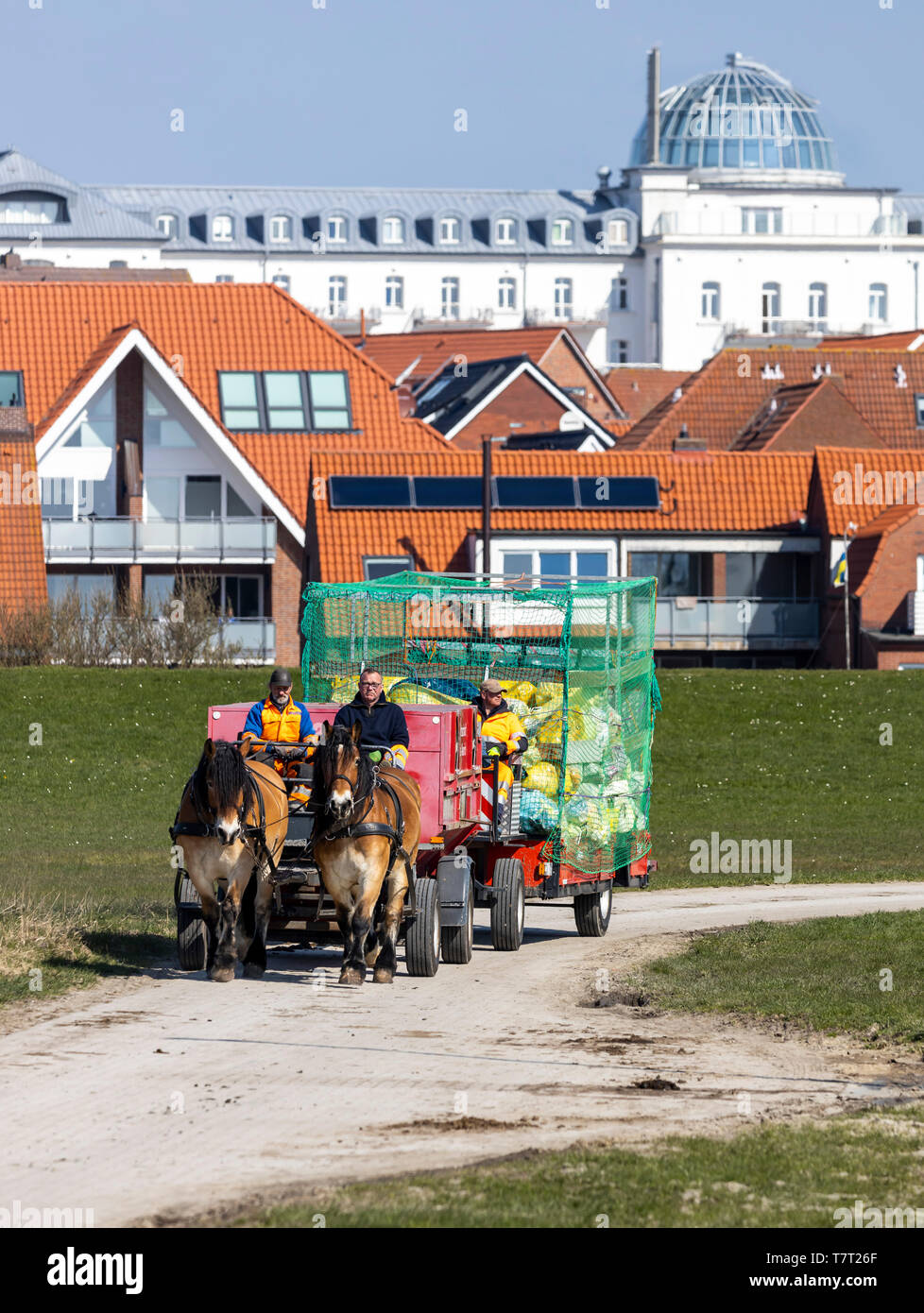 Nordsee Insel Juist, Ostfriesland, Müllwagen, Kutsche, Pferd und Wagen, Niedersachsen, Deutschland, Stockfoto