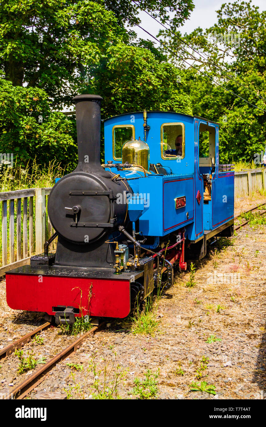 Schmalspur Motor bei Heatherslaw Light Railway, Ford & The Metal Fincas, Northumberland, Großbritannien. Juni 2018. Stockfoto
