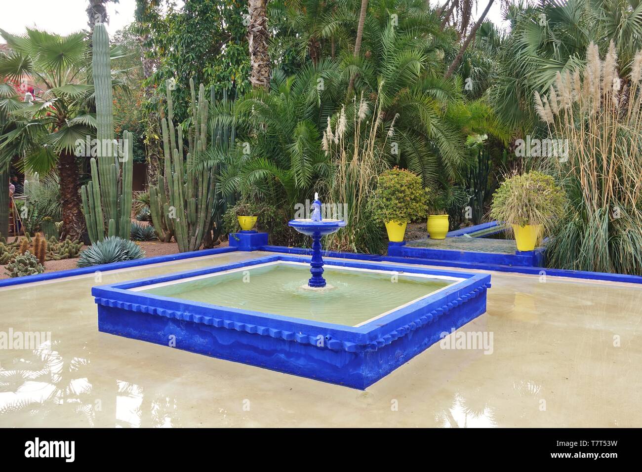 Marrakesch, Marokko - 30 MAR 2019 - Ansicht von Jardin Majorelle, ein Wahrzeichen Orientalist Garten früher vom französischen Designer Yves Saint-Laurent in M im Besitz Stockfoto