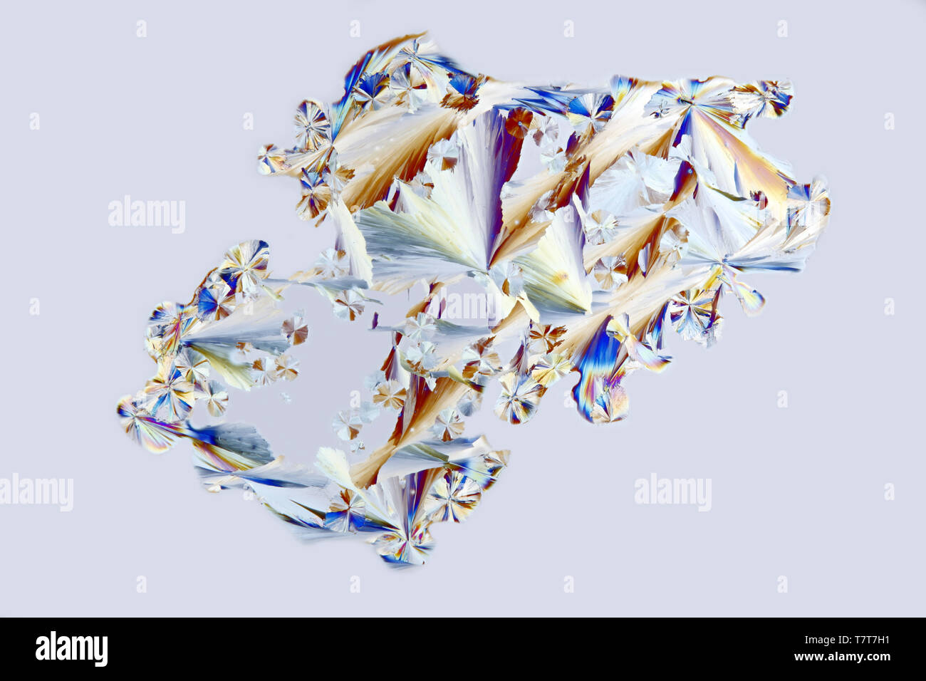 Kristalle von Zitronensäure, eine gemeinsame Konservierungsmittel Stockfoto