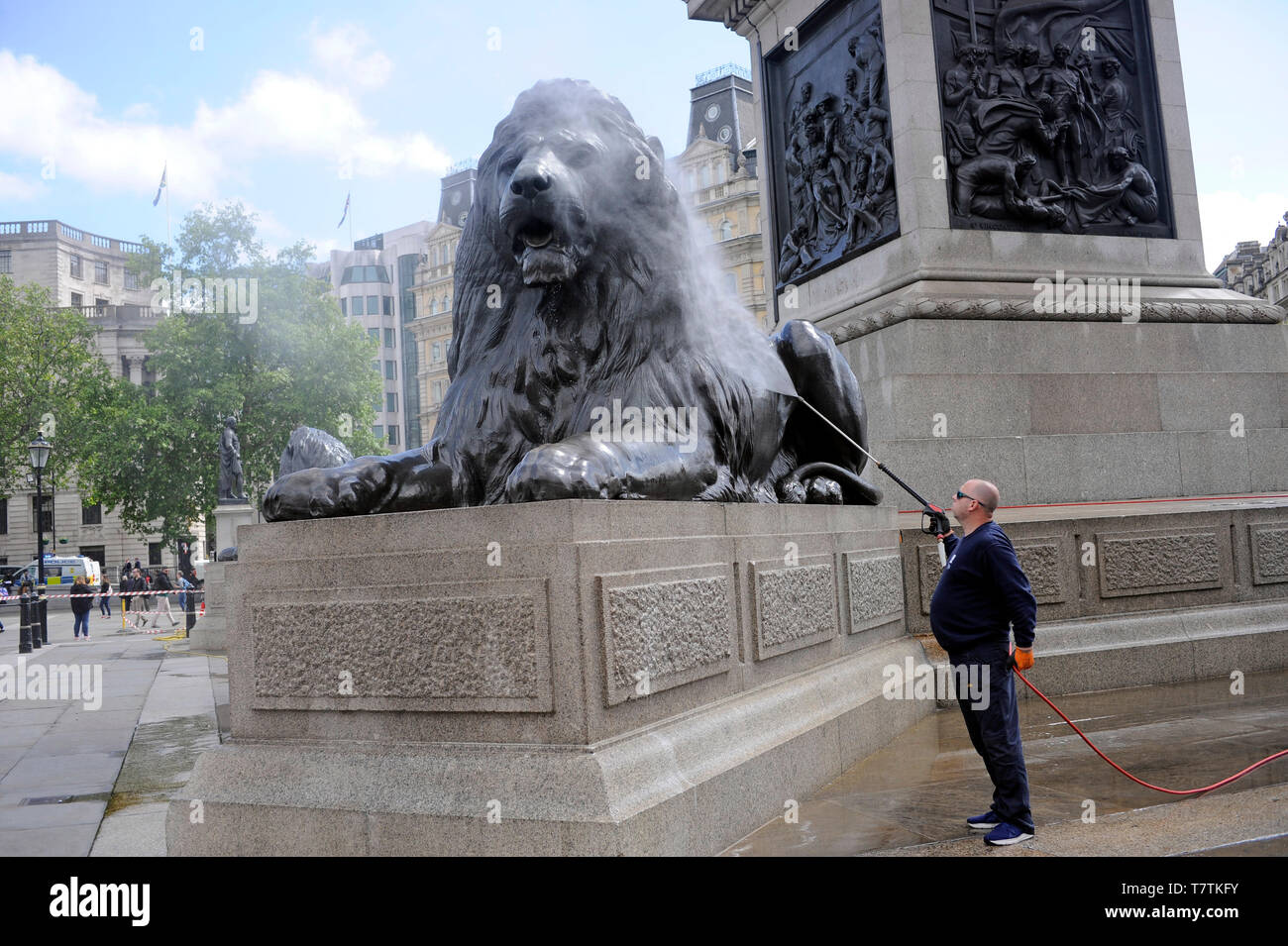 London, Großbritannien. 09 Mai, 2019. Die weltberühmten Löwen in Trafalgar Square einen Druck cleam erhalten. Credit: JOHNNY ARMSTEAD/Alamy leben Nachrichten Stockfoto