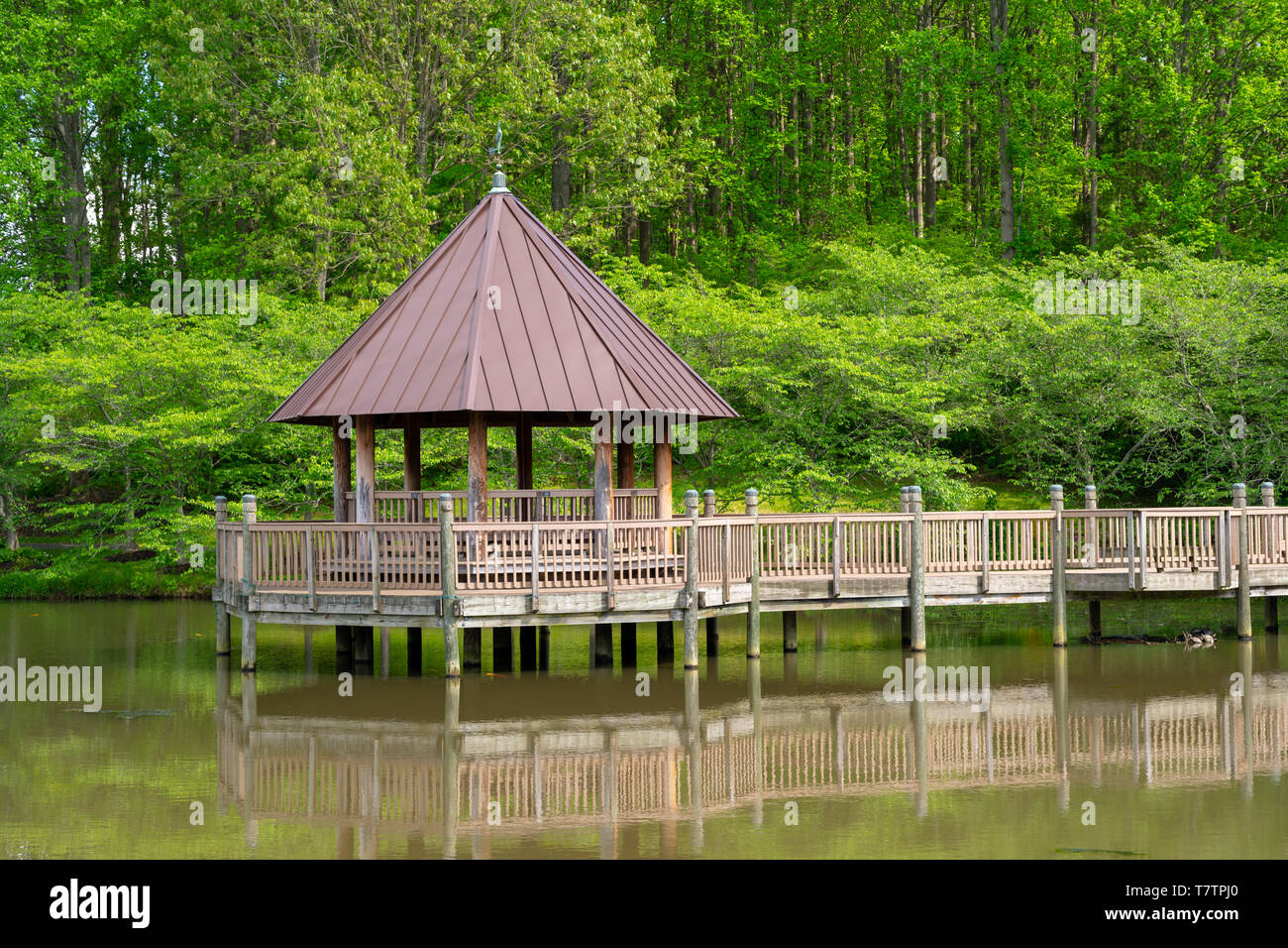 Foto von einem Laufsteg und Pavillon über einen Teich im Garten. Stockfoto