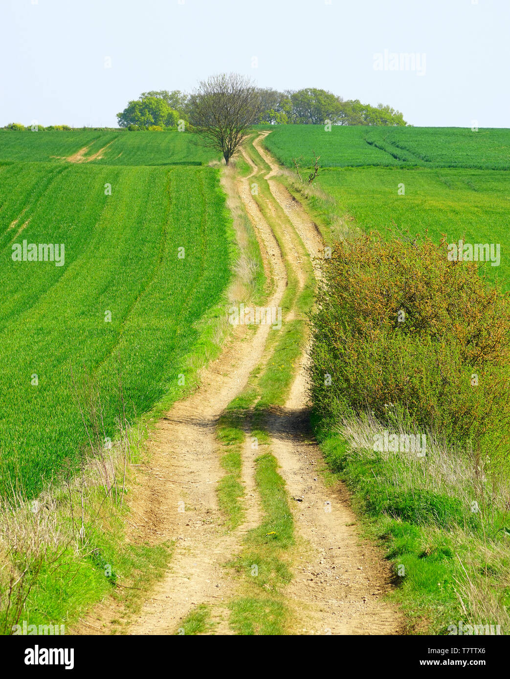 Anschluss über Ackerland in der Nähe von Langley, Hertfordshire Stockfoto