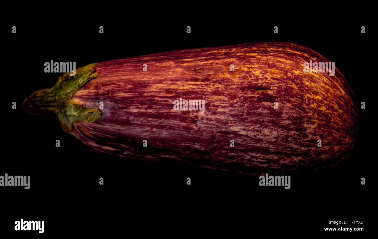 Aubergine Stockfoto