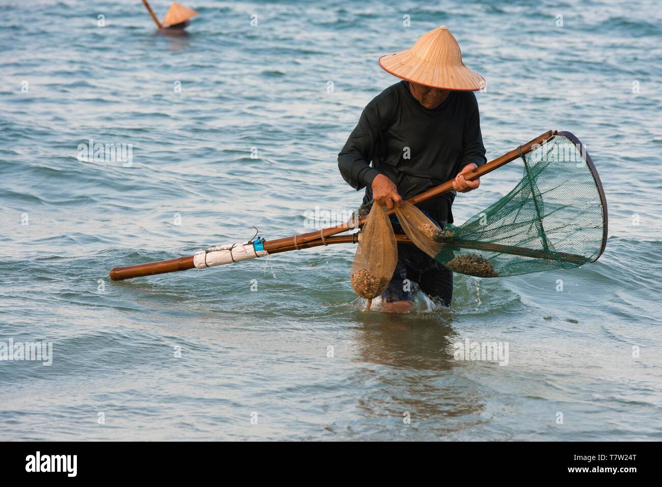 Crabfisher mit Strohhut im Wasser, Cua Dai Strand, in der Nähe von Hoi An, Vietnam Stockfoto