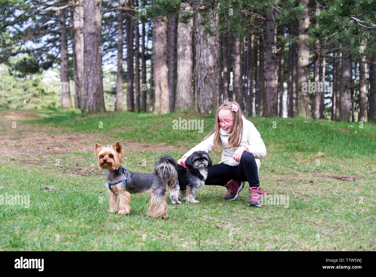 Mädchen mit Hunden im Park Stockfoto