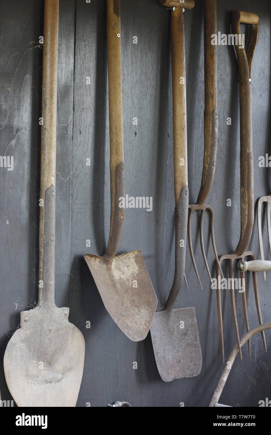 Das Bild zeigt eine Sammlung alter Garten Werkzeuge an der Wand aufhängen, einschließlich Spaten und Gabeln Stockfoto