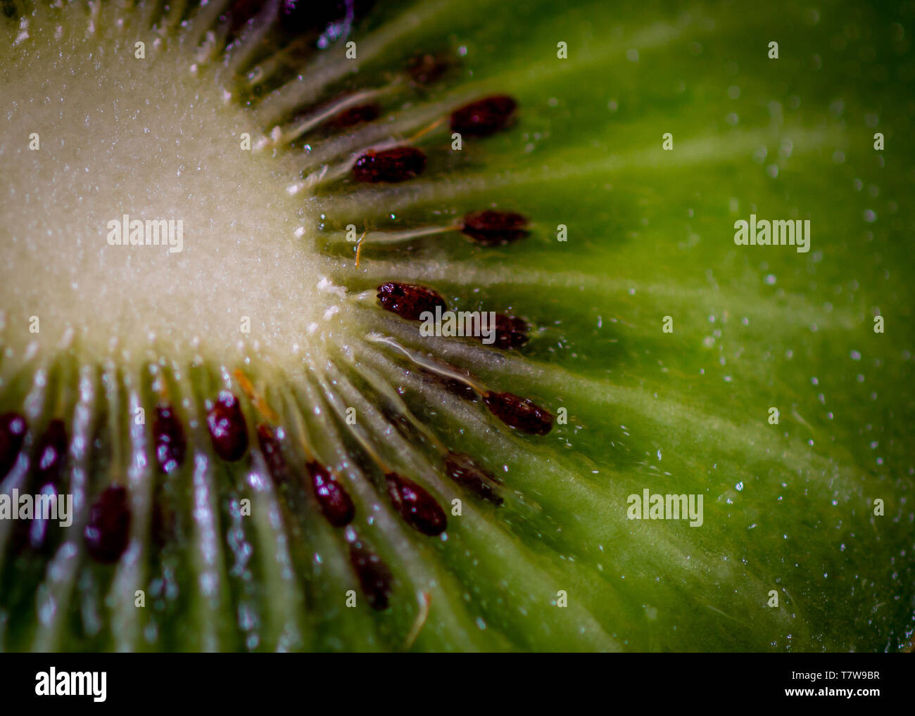 Kiwi Stockfoto