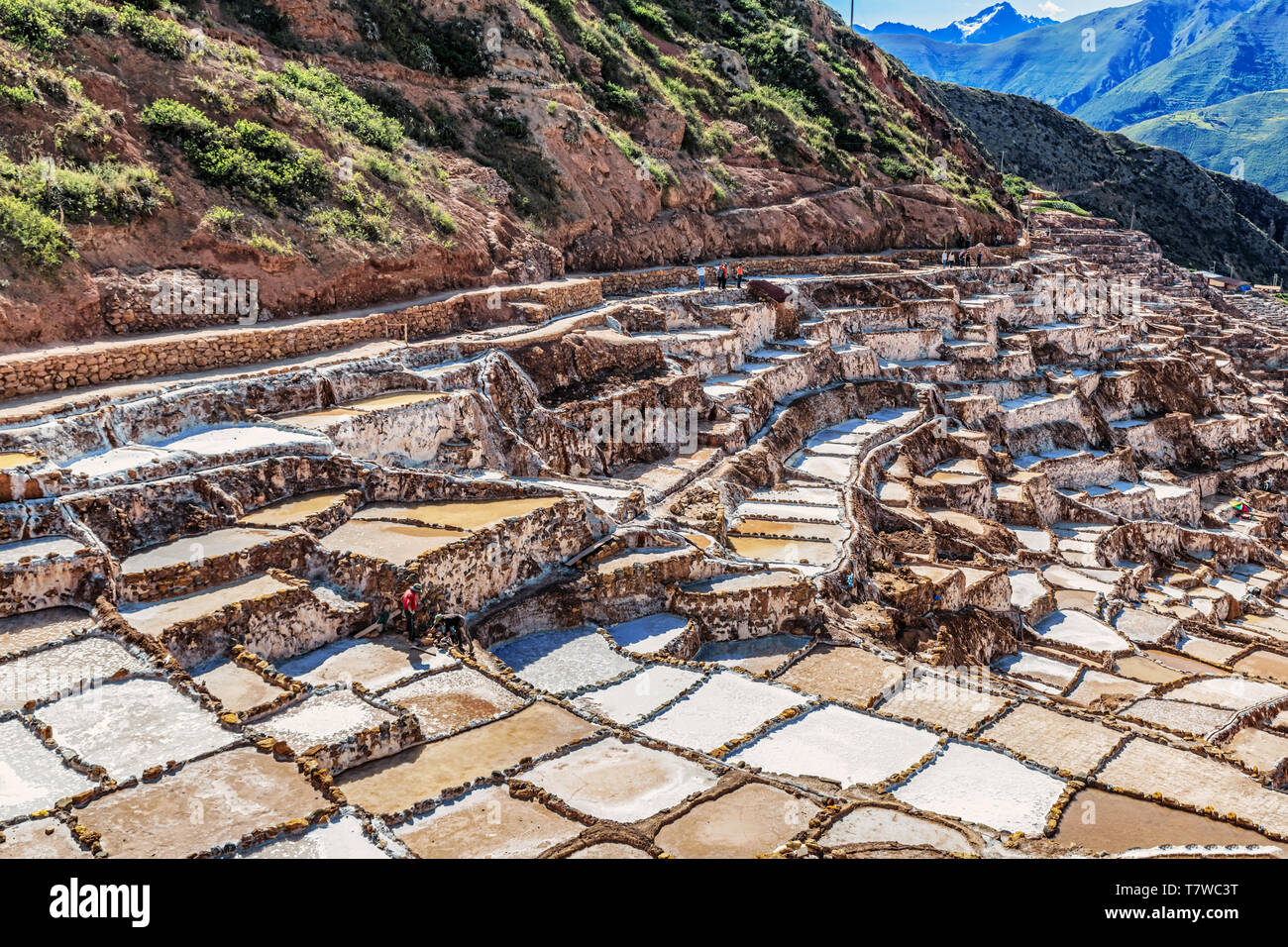 Blick auf Salinas de Maras, Salz Verdunstung Teich auch genannt Salzminen in der Nähe der Stadt von Maras im Heiligen Tal der Inkas und in der Nähe von Cusco in Stockfoto